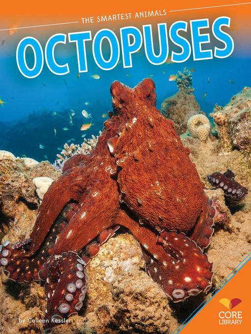 Title details for Octopuses by Colleen Kessler - Available